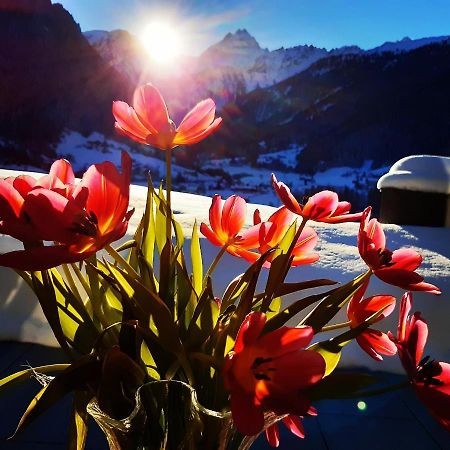Alpenpension Maderer 사슈른 외부 사진